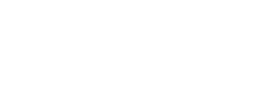 Logo_Adverso